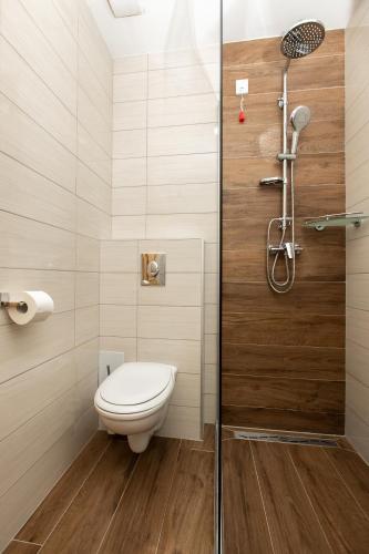 a bathroom with a toilet and a shower at Kozjanski dvor in Podčetrtek