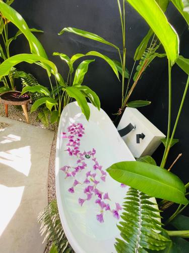 a toilet with purple flowers on it sitting next to plants at Casa Almea Sisal in Sisal