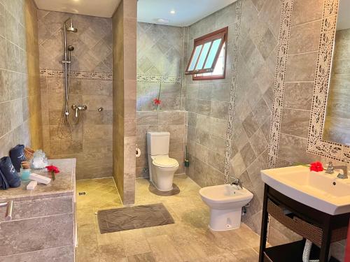 a bathroom with a toilet and a shower and a sink at Hilltop Boutique Hotel in Victoria