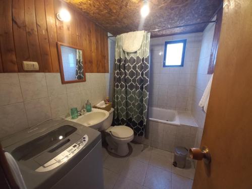 a bathroom with a sink and a toilet and a shower at La Posada in Neltume
