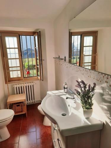 a bathroom with a sink and a toilet and a mirror at STONE in Crodo