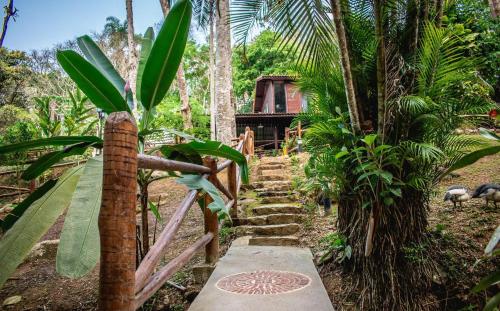 a stairway leading to a house in the jungle at Espaço Viverde Penedo in Penedo