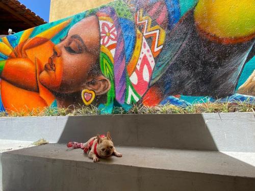 a small dog laying on the ground in front of a mural at Pousada Areias do Pero in Cabo Frio