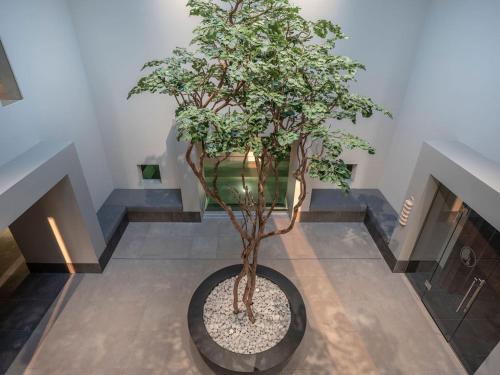 a tree in the middle of a room with stairs at Boshuisje La Casita - Near Wellness & Golf in Oosterhout
