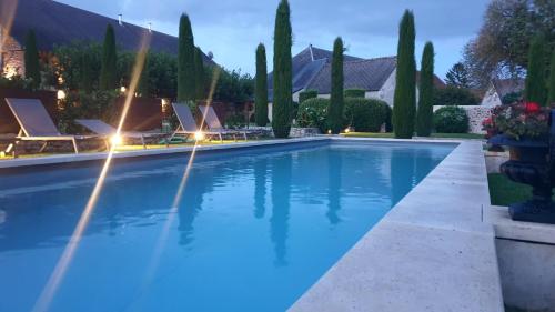 a swimming pool with a fountain in a yard at Les Loges de Saint Eloi- Gîtes in Pontlevoy