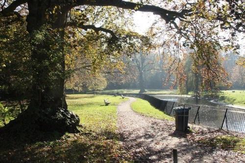 a path in a park next to a tree at Eco Hotel Plantage Rococo in Velsen-Zuid