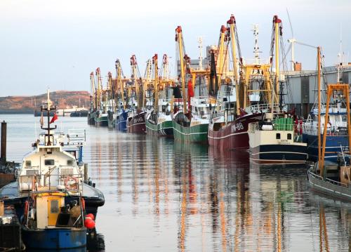 a group of boats are docked in the water at Eco Hotel Plantage Rococo in Velsen-Zuid