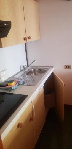 una cocina con fregadero y encimera en Residence Hotel 4s Montagna, en Cogolo