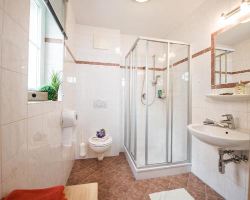 a bathroom with a shower and a toilet and a sink at Appartements Salzburgerhof in Flachau