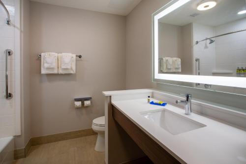 a bathroom with a sink and a toilet and a mirror at Holiday Inn Express & Suites - Deland South by IHG in DeLand