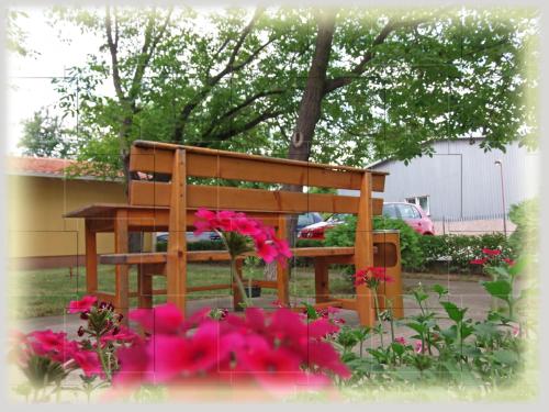 a wooden bench sitting in a garden with pink flowers at Garni Hotel Lav in Belgrade
