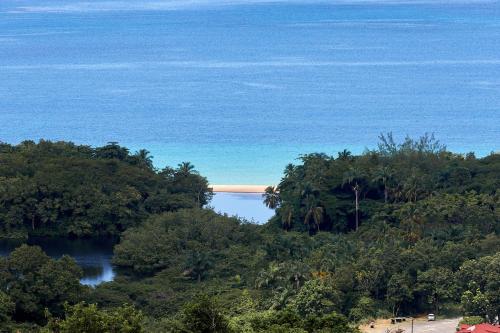 a view of the ocean and a beach with trees at Savane Paille in Deshaies