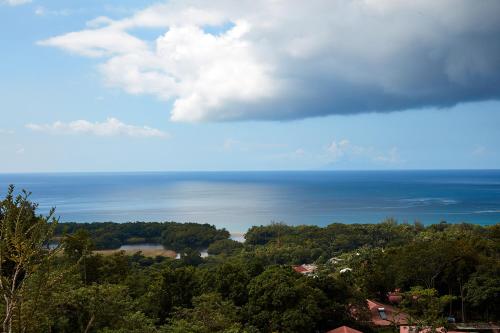 a view of the ocean from a hill at Savane Paille in Deshaies