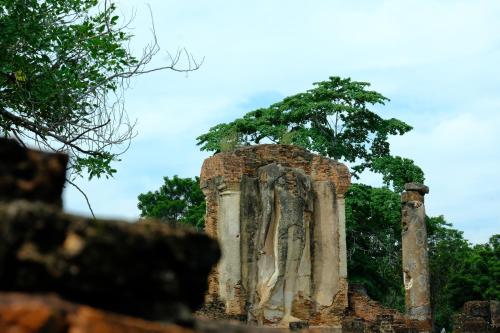an old building with a tree on top of it at Toon Guesthouse in Sukhothai