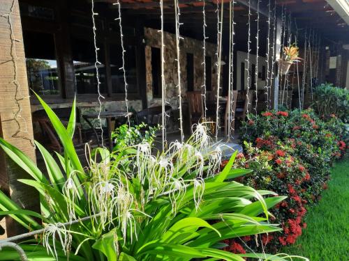 a garden with plants in front of a house at Pousada Icthus in Cabo Frio