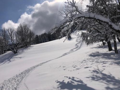 a snow covered hill with trees and a trail at Nestelberg 17 in Lackenhof