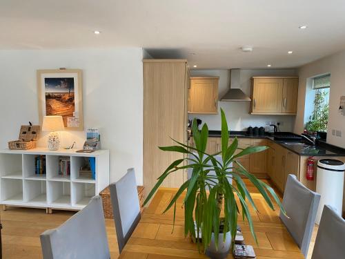 a kitchen and dining room with a potted plant at OHANA HOUSE - Unbeatable Location - UK's Best Beaches in Newquay