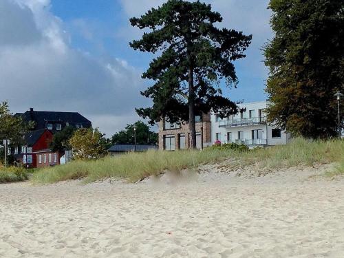 a beach with houses and a tree and a building at Feriendomizil Strandblick Feriendomizil Strandblick Appartement 1 MeerBlick in Haffkrug