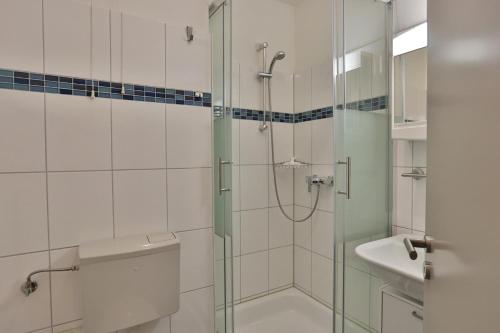 a bathroom with a shower and a toilet and a sink at Alte Meierei Alte Meierei Appartement 52 in Pönitz am See