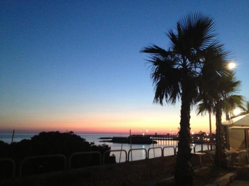 a palm tree with the sunset in the background at Maison De Revel in Civitavecchia