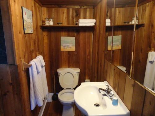 a bathroom with a toilet and a sink at Old Towne Inne Chuckwagon Bar & Grill in Boston Bar