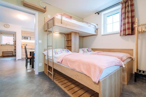 a bedroom with two bunk beds and a table at Aura V in Boží Dar