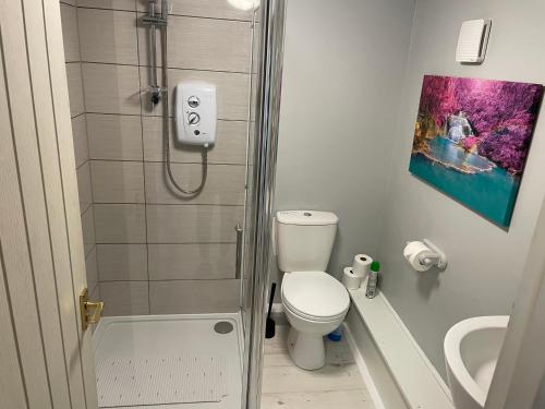 a small bathroom with a toilet and a shower at The Annexe at Gomo in East Winch