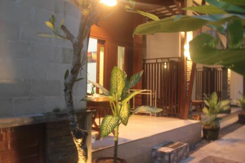 a room with a bunch of different types of plants at Penida Dream Homestay and hostel in Nusa Penida