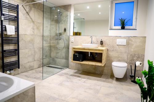 a bathroom with a shower and a toilet and a sink at Smart Resorts Haus Saphir Ferienwohnung 503 in Winterberg