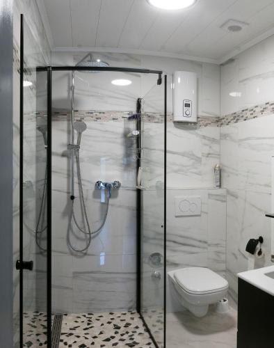 a bathroom with a shower and a toilet at Apartment-EG-09 in Darmstadt
