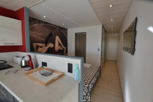 Studio Naturiste "ALCOVE" Port Nature 706