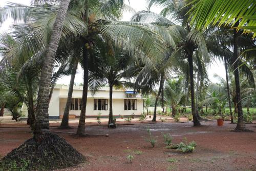RìoCasa – Photos 2