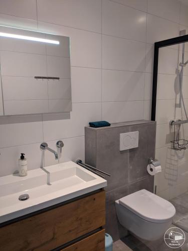 a bathroom with a sink and a toilet and a mirror at Nieuw Molenwijk 4-5 persoons in Oostkapelle