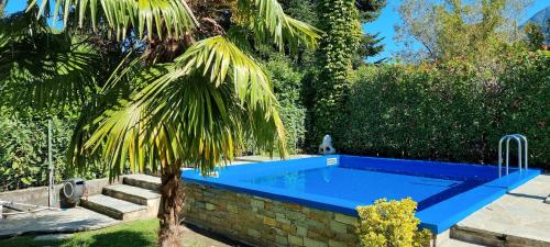 a swimming pool in a garden with a palm tree at Casa Favorita in Colico