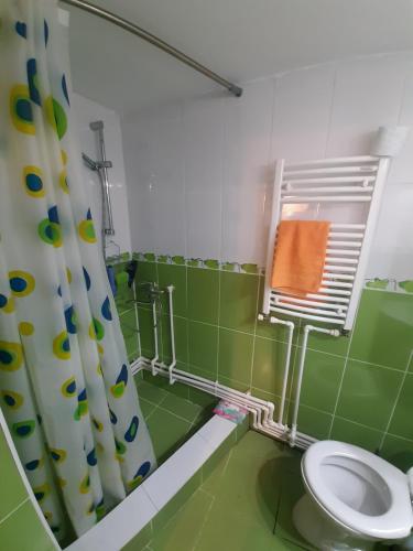 Ένα μπάνιο στο Cabana Drumul Voievodului