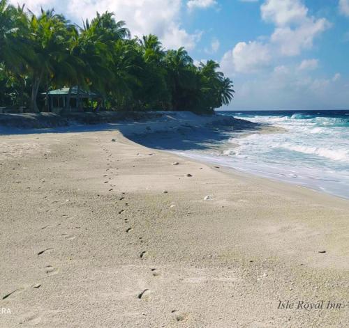 a beach with footprints in the sand and palm trees at Isle Royal Inn in Fuvahmulah