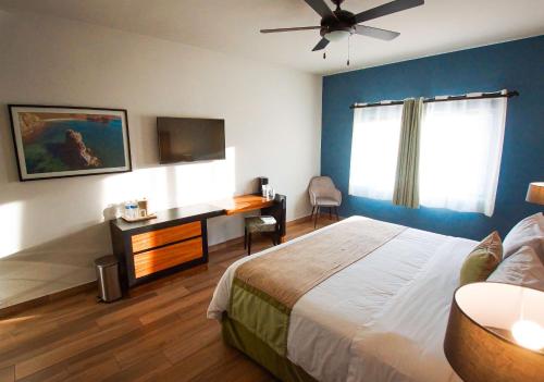 a bedroom with a bed and a desk and a television at Sawari Hotel in San Carlos