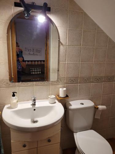 a bathroom with a sink and a toilet and a mirror at Casa Rural La Vid in Cadalso de los Vidrios