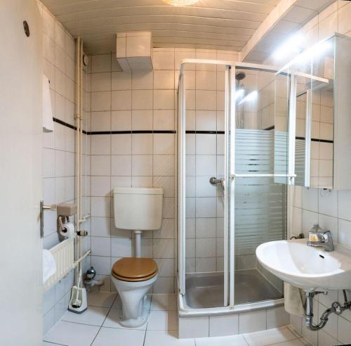 a bathroom with a shower and a toilet and a sink at Apart-1-OG-Nr1 in Darmstadt