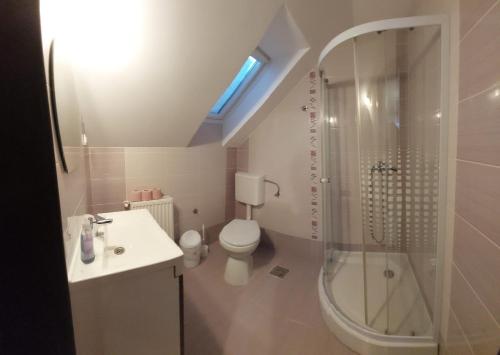 a bathroom with a toilet and a shower and a sink at Vila Eduard in Fundata