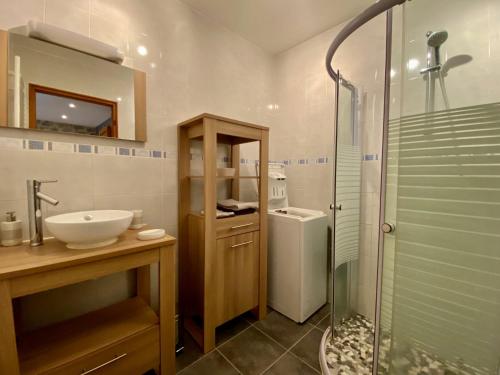 a bathroom with a sink and a shower in it at Gîte Blavozy, 2 pièces, 3 personnes - FR-1-582-57 in Blavozy