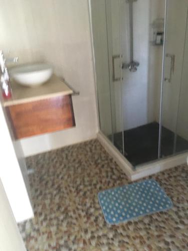 La salle de bains est pourvue d'une douche et d'un lavabo. dans l'établissement O soleil, à Albion