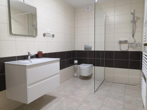 uma casa de banho com um lavatório e um WC em Penzion U Horejšů, Zadov - Churáňov em Stachy