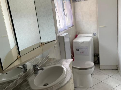 ein Badezimmer mit einem Waschbecken, einem WC und einem Spiegel in der Unterkunft Gîte Domptail-en-l'Air, 2 pièces, 2 personnes - FR-1-584-9 