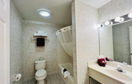 a bathroom with a toilet and a sink and a mirror at Inn at Cemetery Hill in Gettysburg