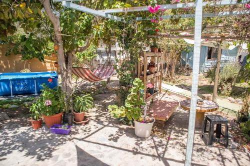 a garden with a hammock and potted plants at La Huerta in Vicuña