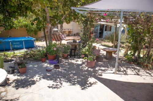 einen Garten mit Topfpflanzen und einem Sonnenschirm in der Unterkunft La Huerta in Vicuña