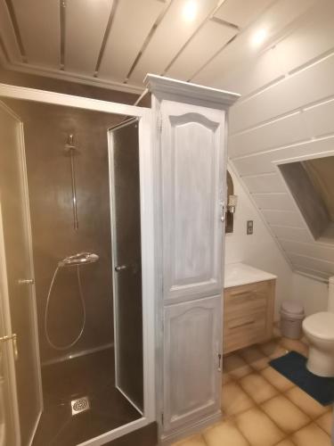 une salle de bain avec douche et toilettes dans l'établissement Villa kerangoues gîte 3 étoiles, à Sélestat