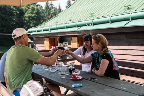 a group of people sitting at a picnic table drinking wine at Penzion La Baita in Branná