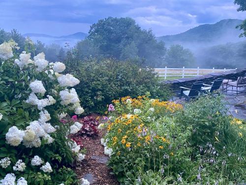 Wild Trails Farm – Photos 2